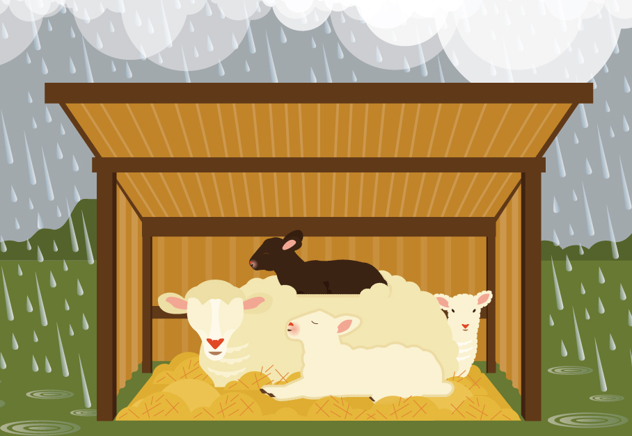 Shelter storm illustration